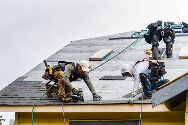 Professional Roof Replacement technician working in Pingree, ID